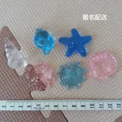 アクリルアイス　海　貝　６個　まとめ売り
