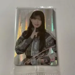 Item thumbnail for item c487f3ff-f077-4eb6-85e2-954c61897ef0