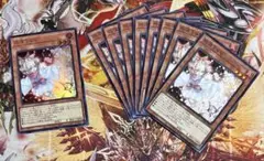 遊戯王 汎用セット