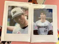 茶谷健太 チェキ