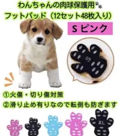 Item thumbnail for item 8d03362b-7ae5-4e04-bcbe-676b04eccc1d