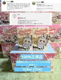 正規品・未開封LABUBU ラブブ EXCITING MACARON 2箱