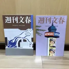週刊文春 2024年7月号 2冊セット