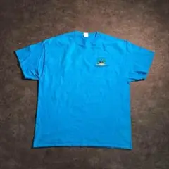 【ヴィンテージ】サマープリントTシャツ　青　オーバーサイズ古着used SM45