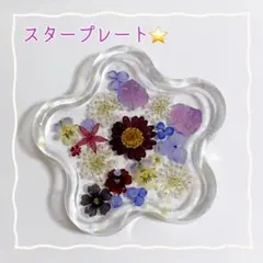 No.362⭐️固まるハーバリウム✨️スタープレート