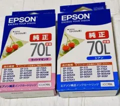 Item thumbnail for item 4cd1cb53-fc2f-4904-ad23-7ca009099f47