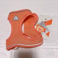 Item thumbnail for item e6007780-de62-4c0d-b5fb-51485d81f272