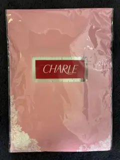 CHARLE ソックス HE062 22〜24サイズ　ペールグリーン