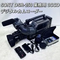 最終値下げ　ソニー　業務用ビデオカメラ　DSR-250　ワケ有り 最終値下げ ソニー 業務用ビデオカメラ DSR-250 ワケ有り