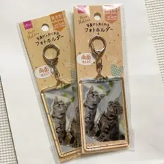 ダイソー/フォトホルダー両面タイプ/大きめサイズ2点セット/推し活キーホルダー