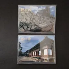 Item thumbnail for item b2918b86-c553-49dd-91e0-3440e0ccfe11