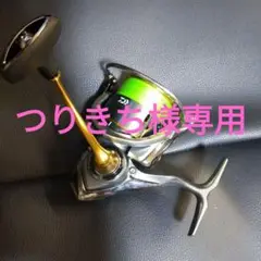 最終値下げ!! ダイワ FREAMS LT 3000D-C