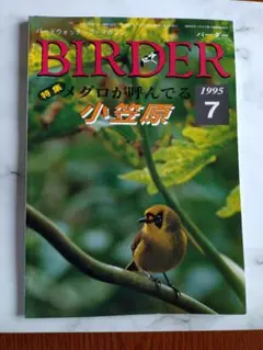 BIRDER 1995年7月号　小笠原特集