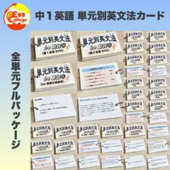 【中1フルパッケージ】単元別英文法カード　中学生　テスト　復習　予習　参考書