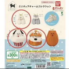 メゾンテリア　ガチャガチャ