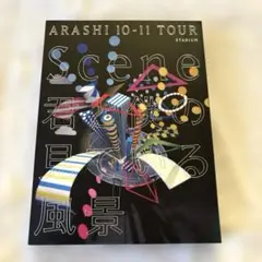 嵐/ARASHI 10-11 TOUR""Scene""～君と僕の見ている風景…