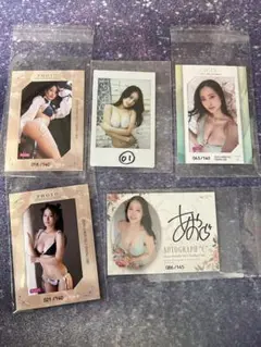 Item thumbnail for item 0a0ba8fe-d206-47e5-8de4-6440c922c9d0