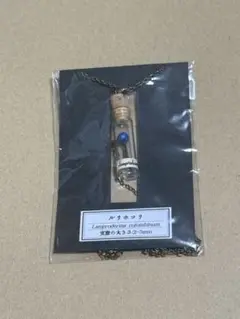 Item thumbnail for item 1af6ce68-143f-4c5a-8e33-5962044eb734