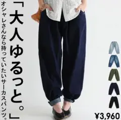 antiqua カーブパンツ LXL
