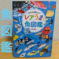 【図鑑】さかな博士のレアうま魚図鑑　伊藤柚貴　日東書院