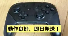 Nintendo Switch Proコントローラー充電ケーブル付　動作確認済み