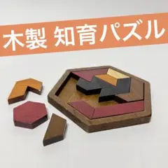 【木製 知育パズル】カラフルな図形パズル／脳トレ・空間認識力アップに！