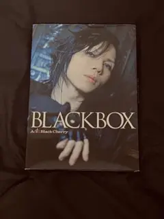 Acid Black Cherry　BLACKBOX 71IiNJ8JwOL._UF350,350_QL50_.jpg