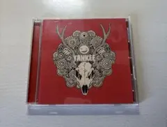 米津玄師 YANKEE