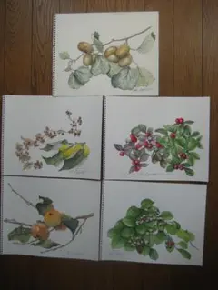 原画　季節の木の実（その１）水彩画５点