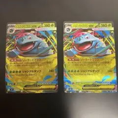 メガカメックスEX 2枚セット