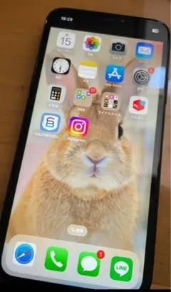 Apple iPhone 11 本体 ブラック　ジャンク