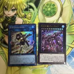 遊戯王OCG 厄災の星ティフォン　SPリトルナイトセット