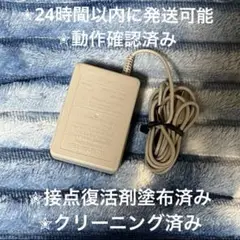 DS & 3DS 任天堂 純正 充電器