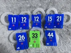 ヴァンフォーレ甲府　コイルゴム付きアクリルキーホルダー 8点セット