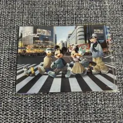 ディズニーキャラクター ハガキサイズ　クリアファイル　2枚セット