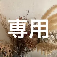 専用