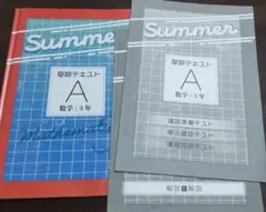 未使用【塾用教材】夏期テキストA 数学 中学3年 基本編 教育開発出版