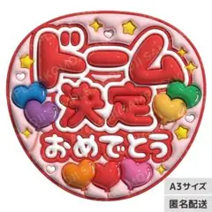 【ドーム決定おめでとう　赤　うるつやA3】ぷっくりうちわ文字　ファンサ