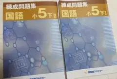 早稲アカ 練成問題集 国語 小5 下 I II セット