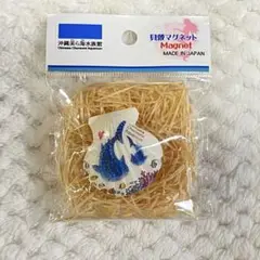 沖縄　ジンベイザメ　貝殻マグネット