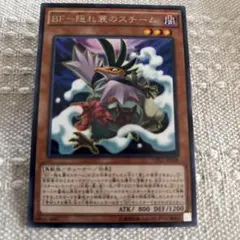 BF-隠れ蓑のスチーム