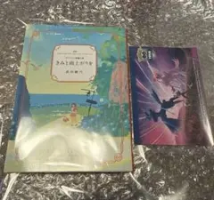 ポケモンセンター きみと雨上がりを 新品 非売品