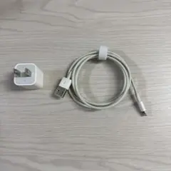 Apple USB充電器とLightningケーブルセット