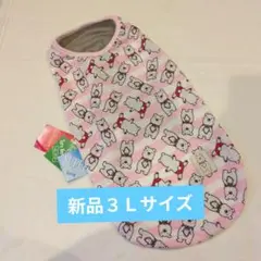 Item thumbnail for item 091f353c-1960-4864-bd1b-d5388637ad36