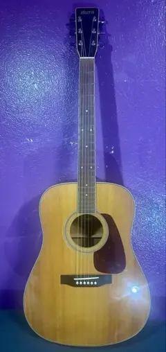 Morris MD-507N Acoustic Guitar アコースティックギター