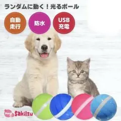犬 猫 動くボール