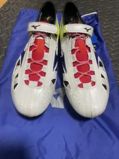 Mizuno インクススプリント