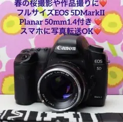Item thumbnail for item 672eba5c-597f-42d8-bbc4-2d148db772c9
