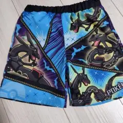 ポケモン　水着①
