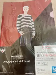 SEVENTEEN クリアファイル　ホシ